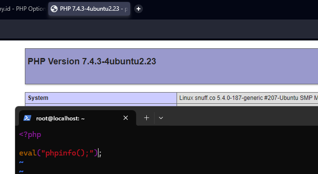 WPSora - Eval Excetuion